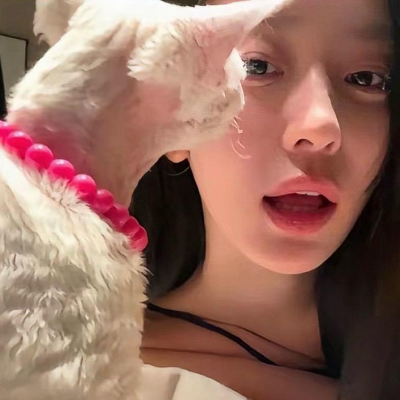 爱吹牛的蛋挞