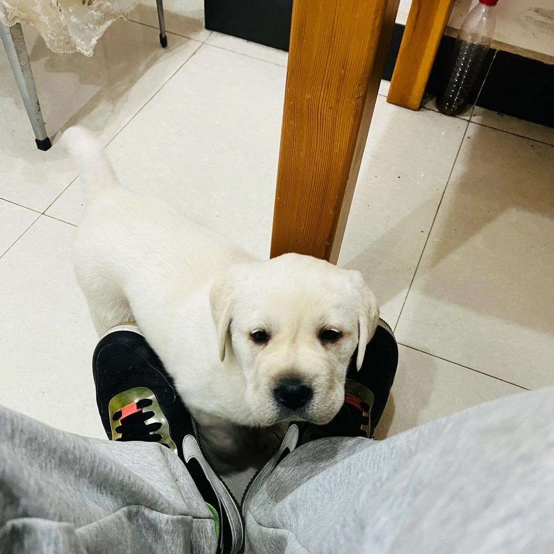 南京丁小健📱数码