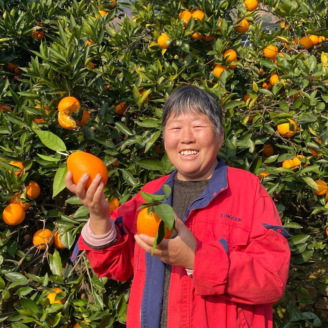 奉节县橙上呈脐橙店