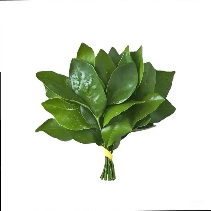 早早不是草草🍃