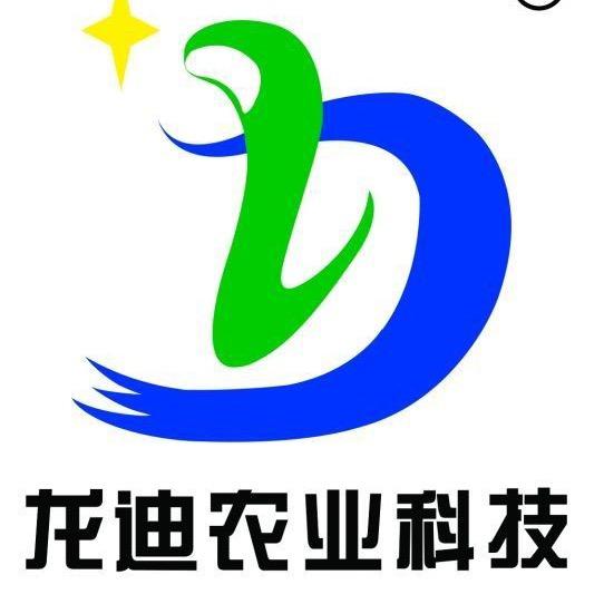 龙迪装备
