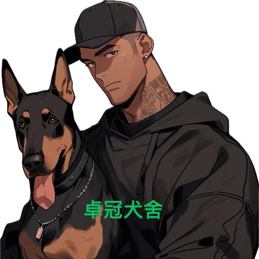 漯河卓冠犬舍～杜宾