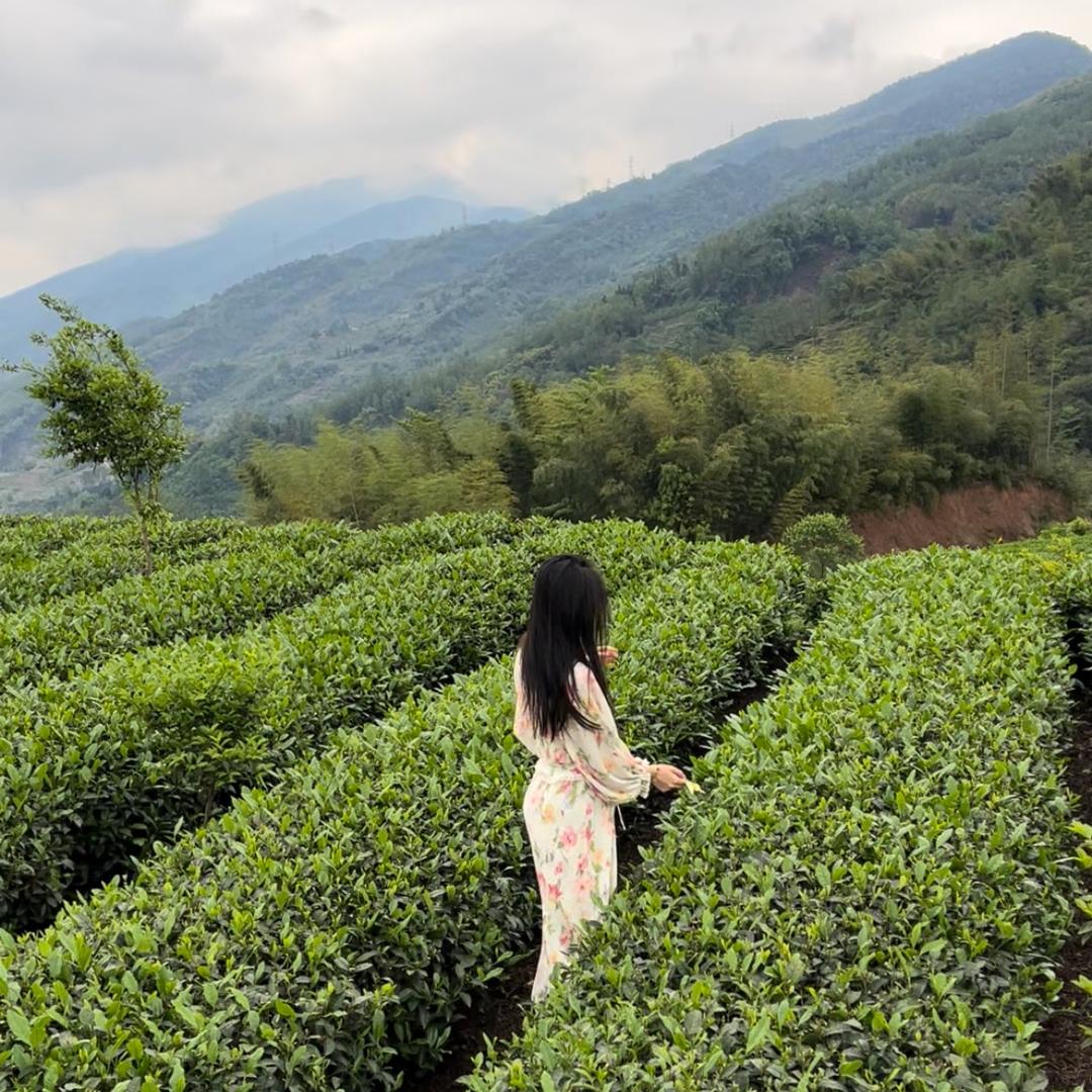高妹儿手工茶
