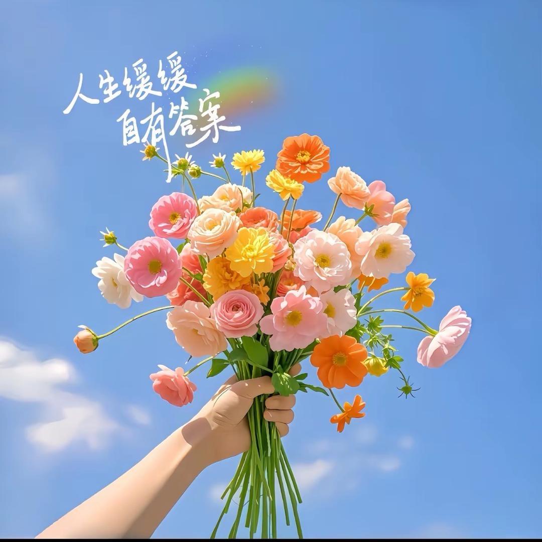 晚柠🌸