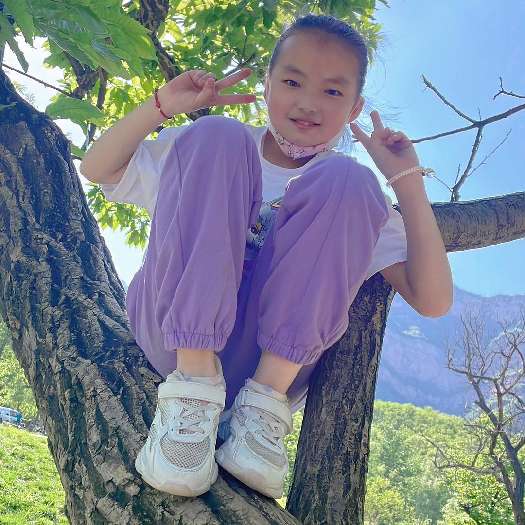 向日葵小剧场🌻
