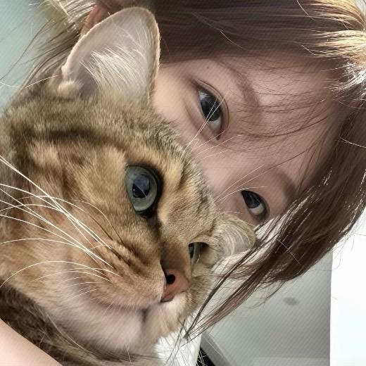 易安.