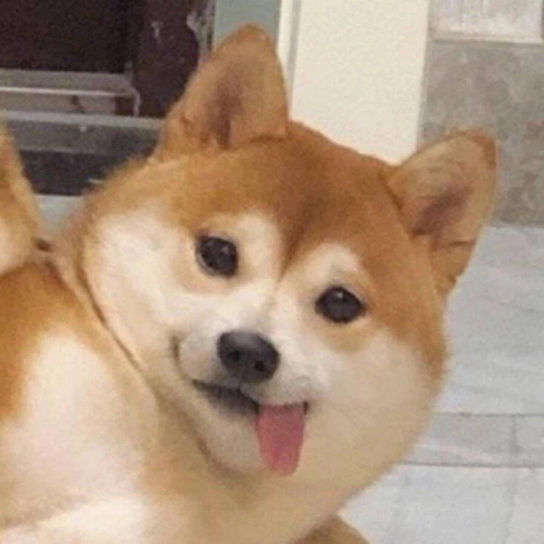 铁铁小艾