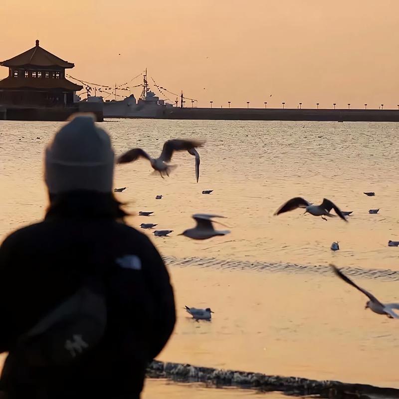 大脸猫爱吃鱼哟