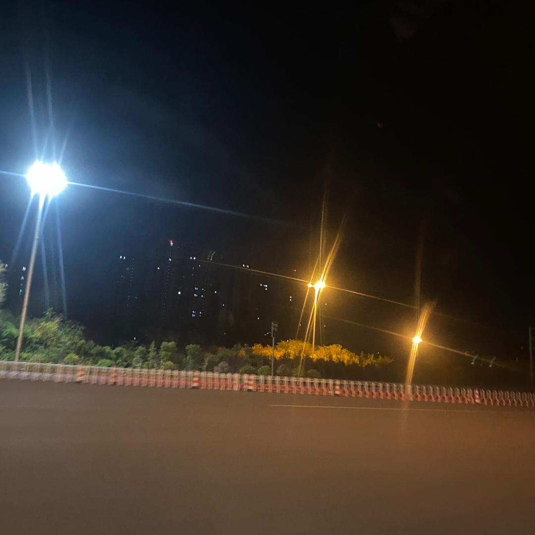 绿之叶园林苗木