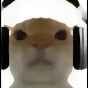lsls（代肝三角洲）