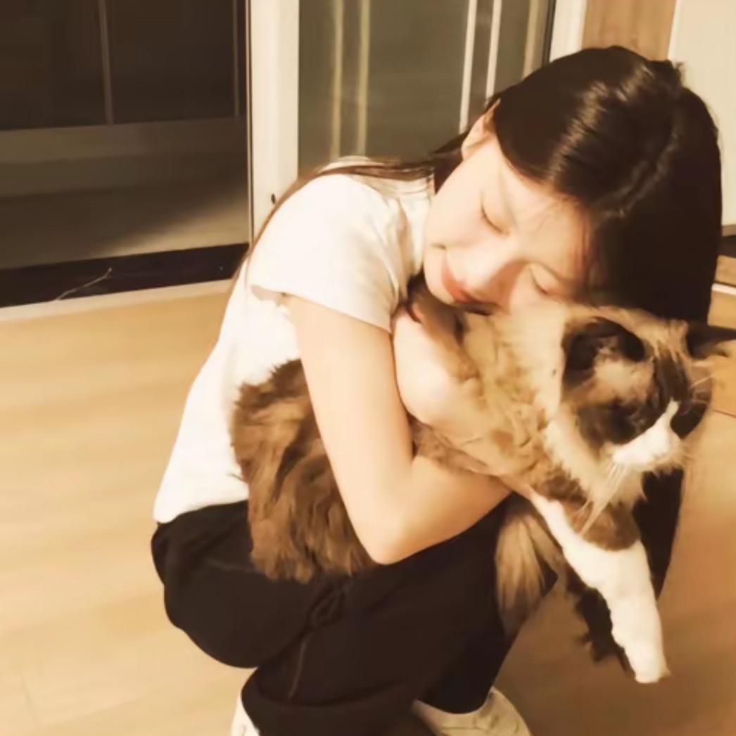 惹我会拉坨大便到你头上