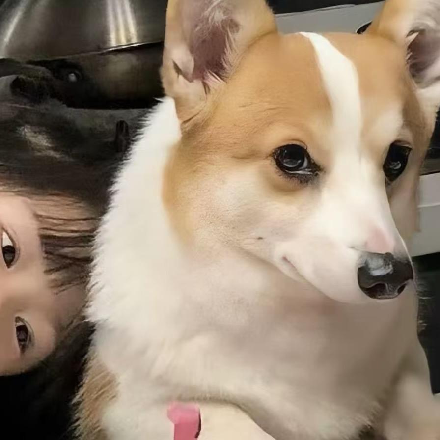 -1瑶.