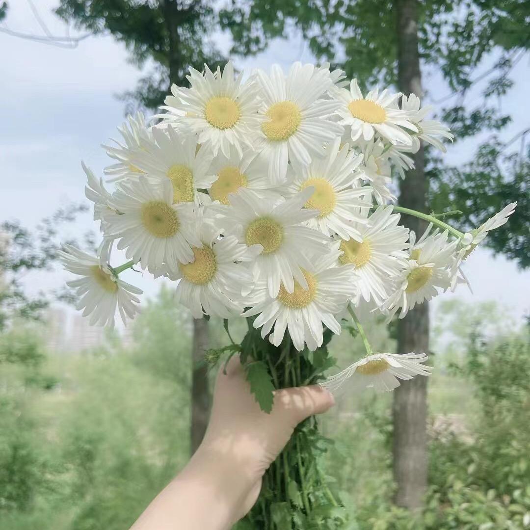 大自然的美