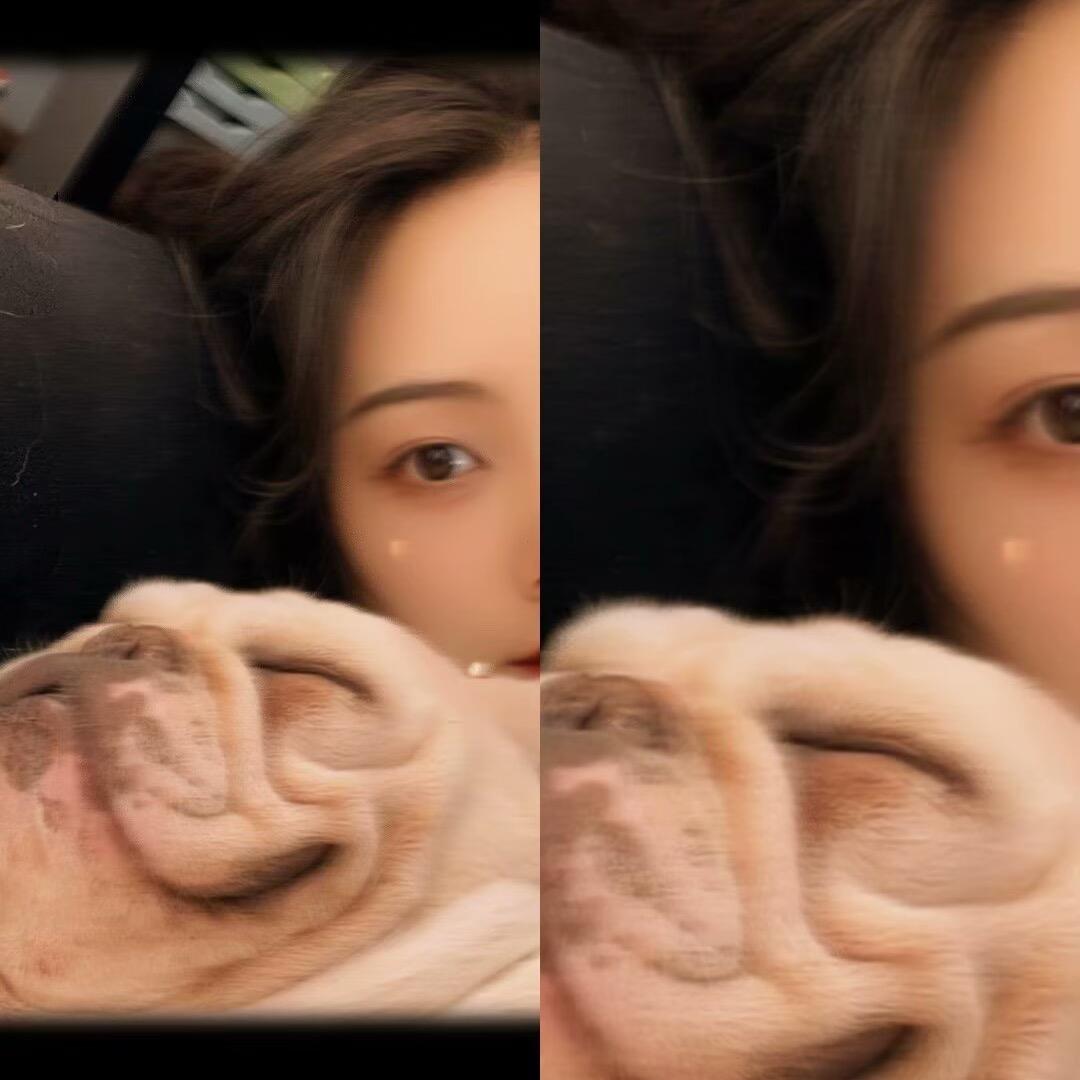 猫狗的碎嘴希姐^ - ^