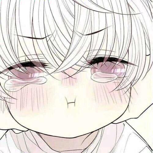 颜颜🐱