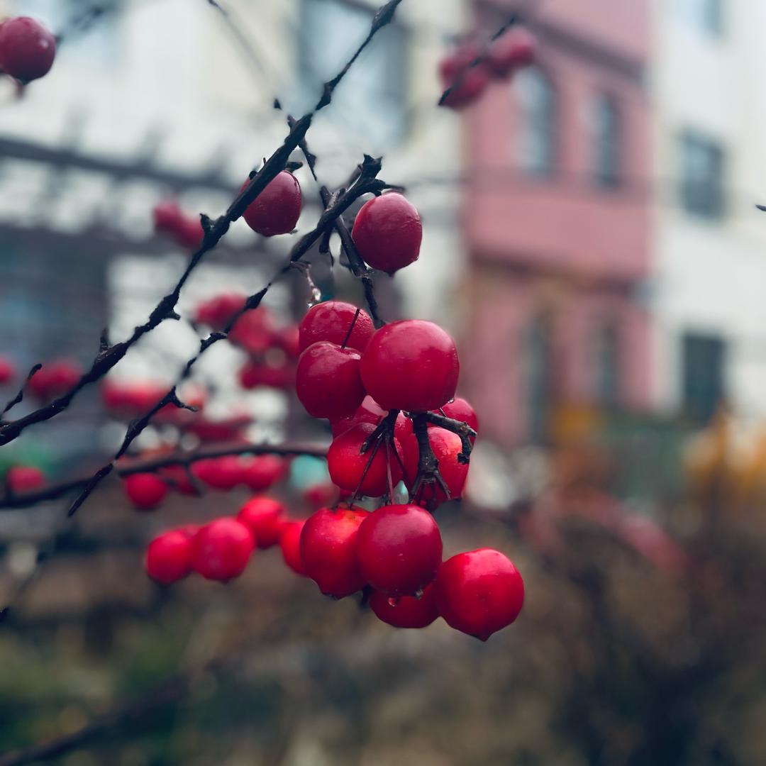 金川霍寨幼儿园