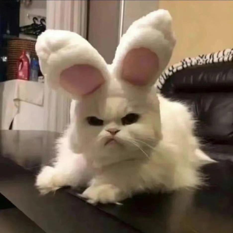 bb