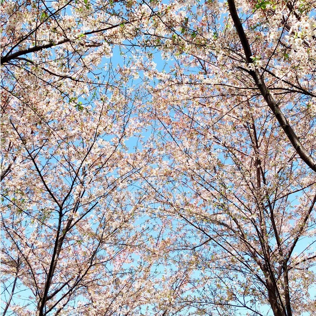 䒴䒴