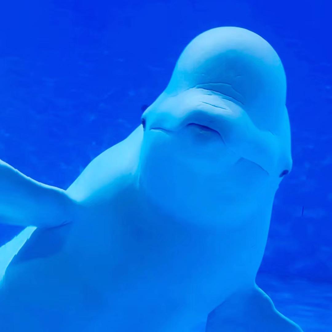 福州欧乐堡海洋世界🐬