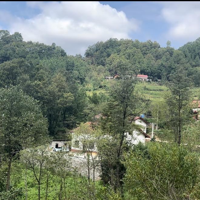 秦巴山货(村书记助农)