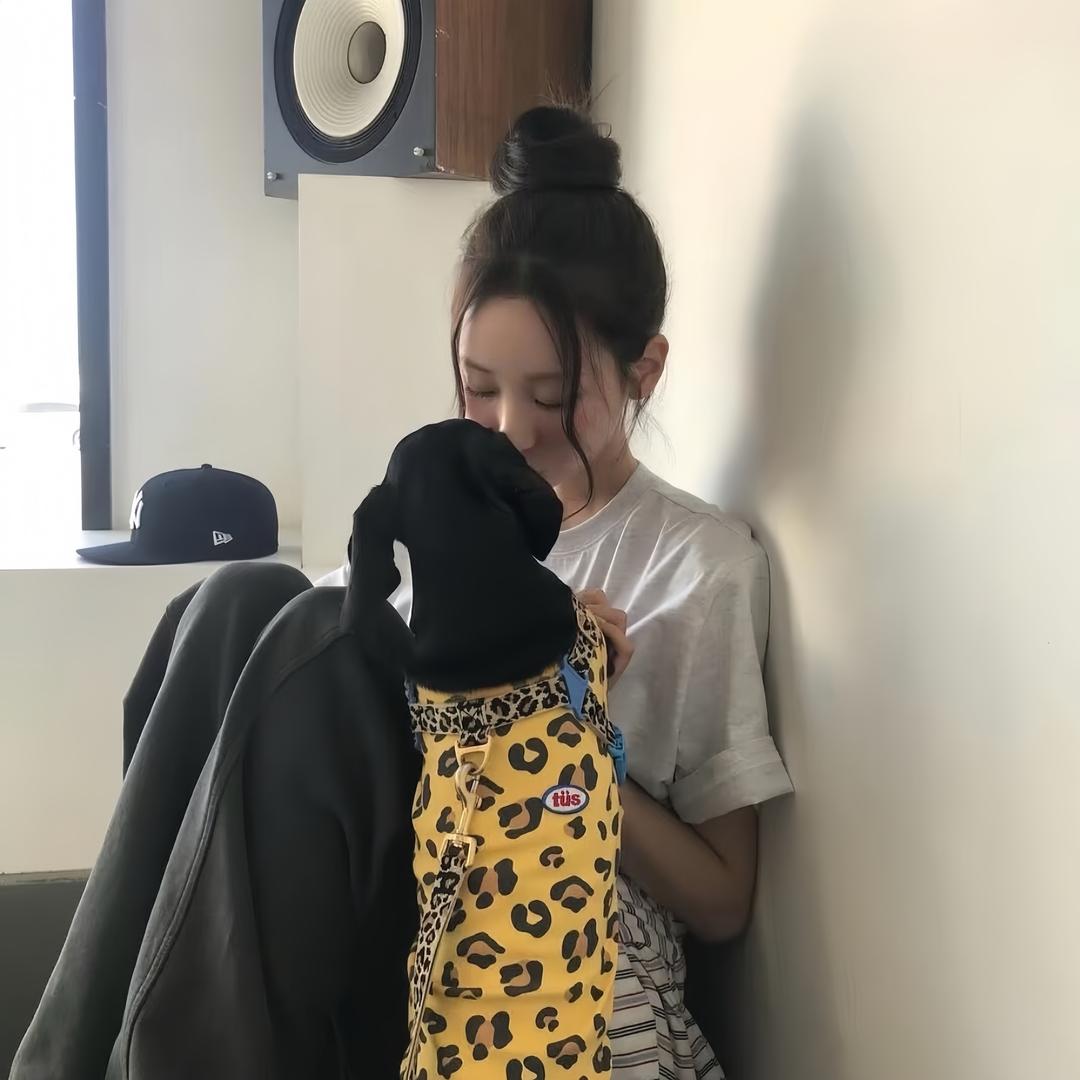 今晚住你家