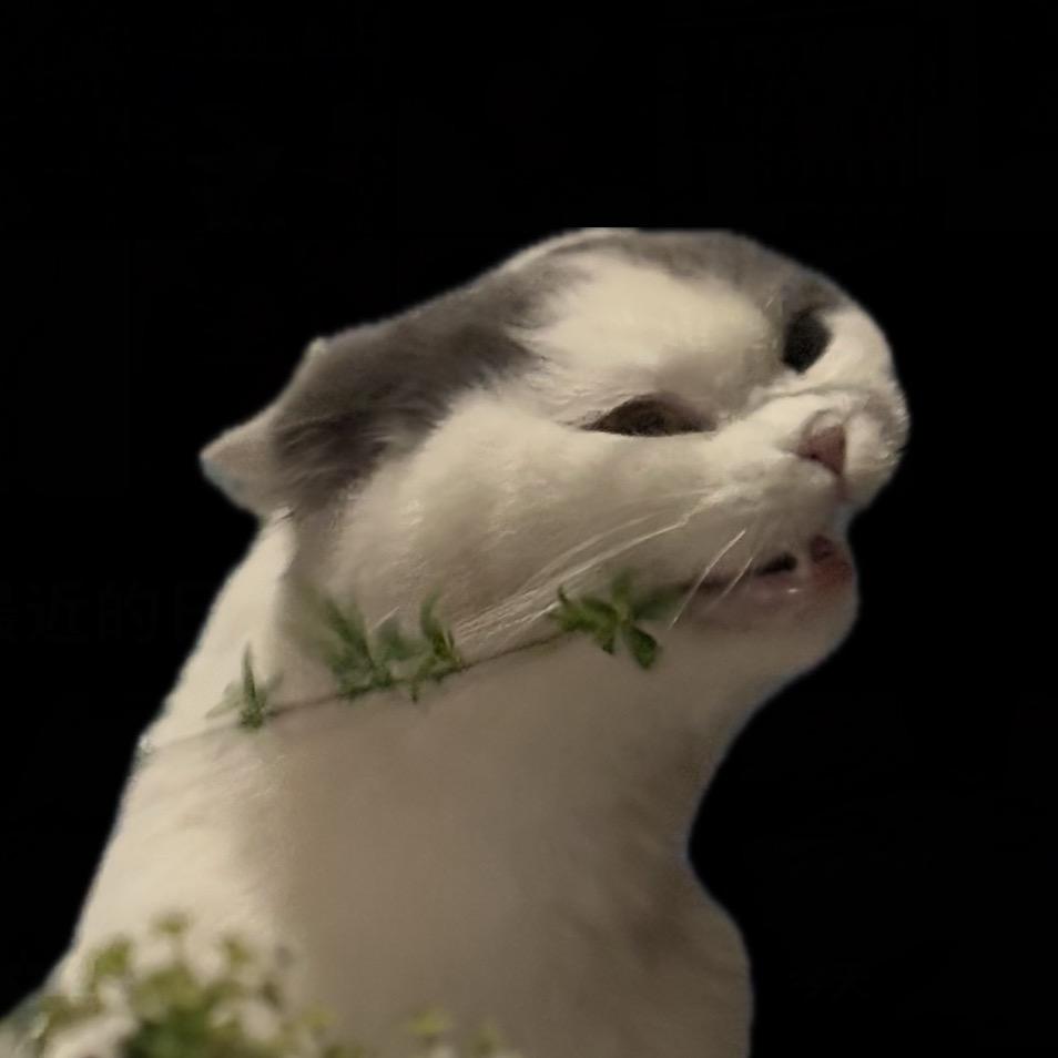 貓毛过敏