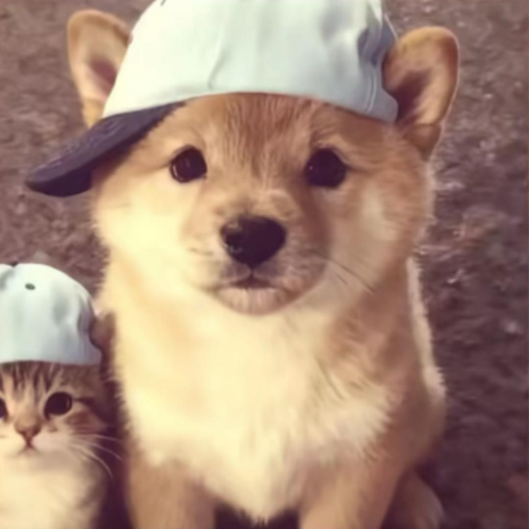 Bbbb