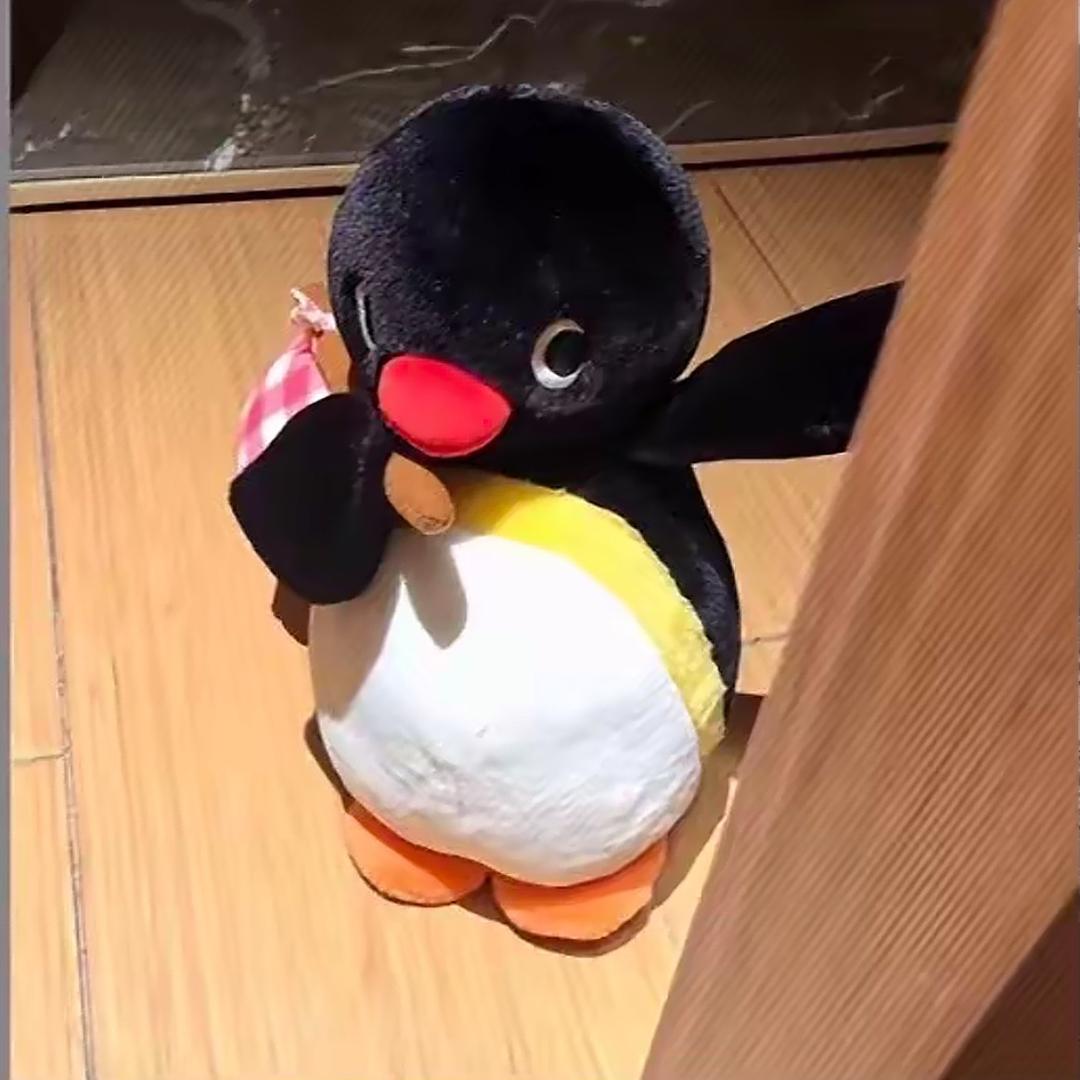 我不知道