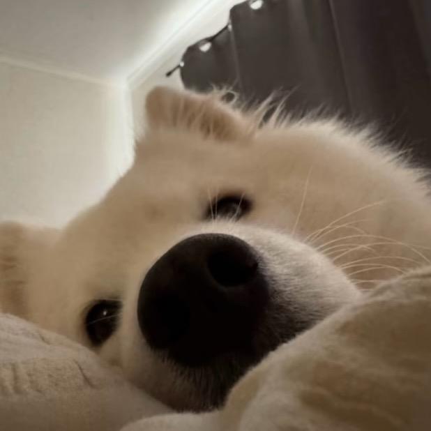 每座城市都会下雨