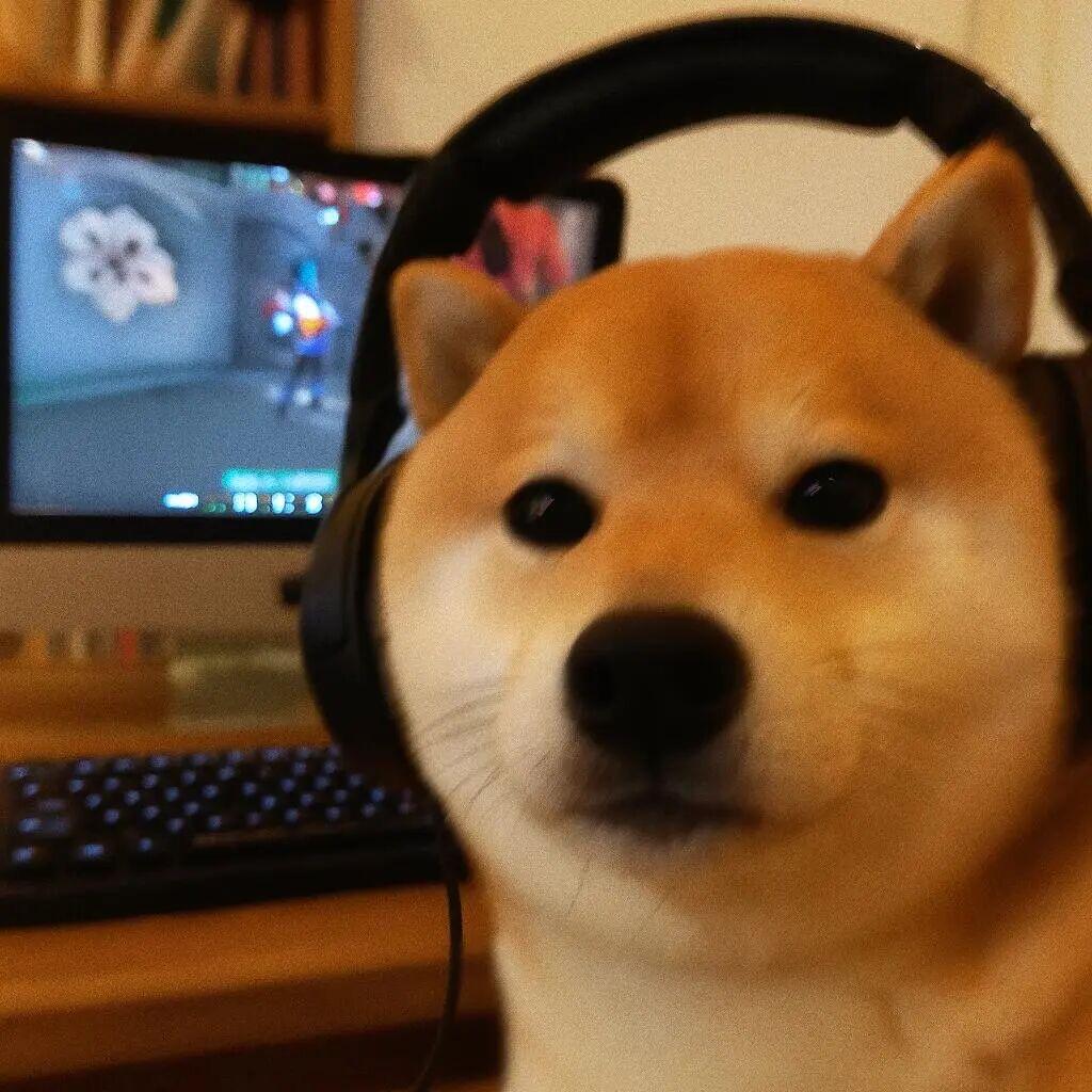 阳仔电竞加油站