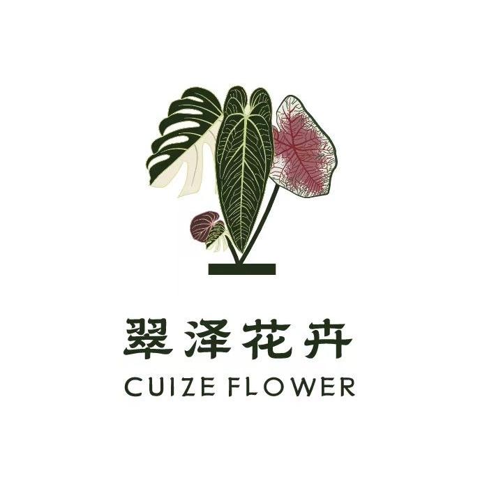翠泽彩叶芋