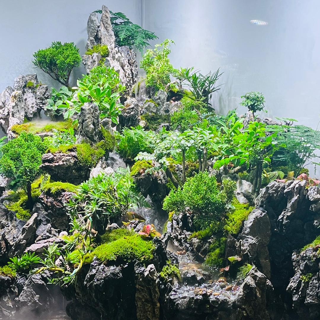 爱慕雨林景观设计