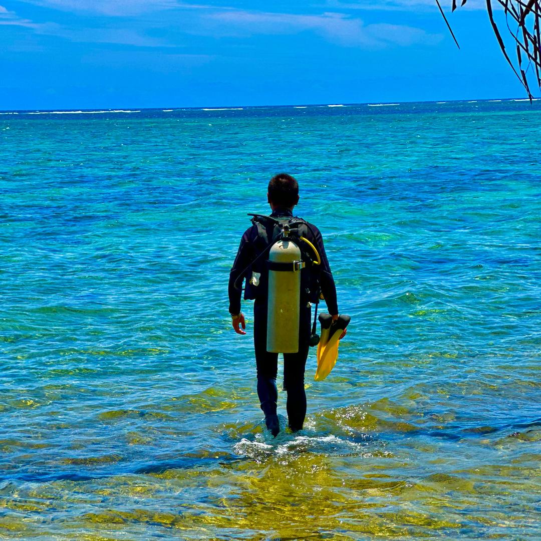 斐济🇫🇯鲨鱼潜水Nick.Yang