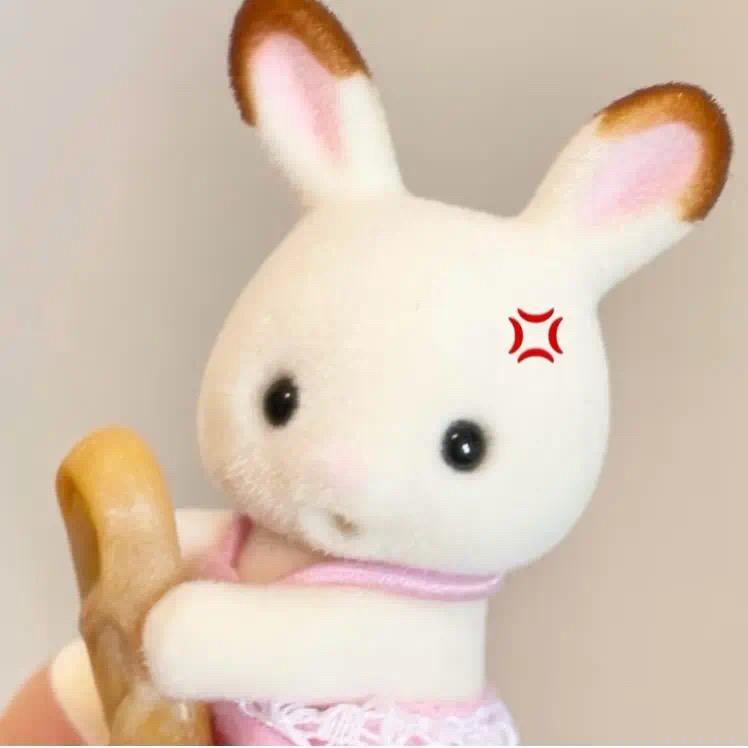 柴柴冰