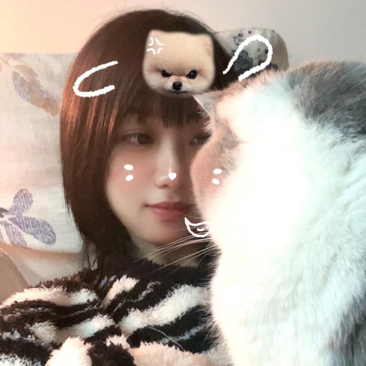 江边听晚风