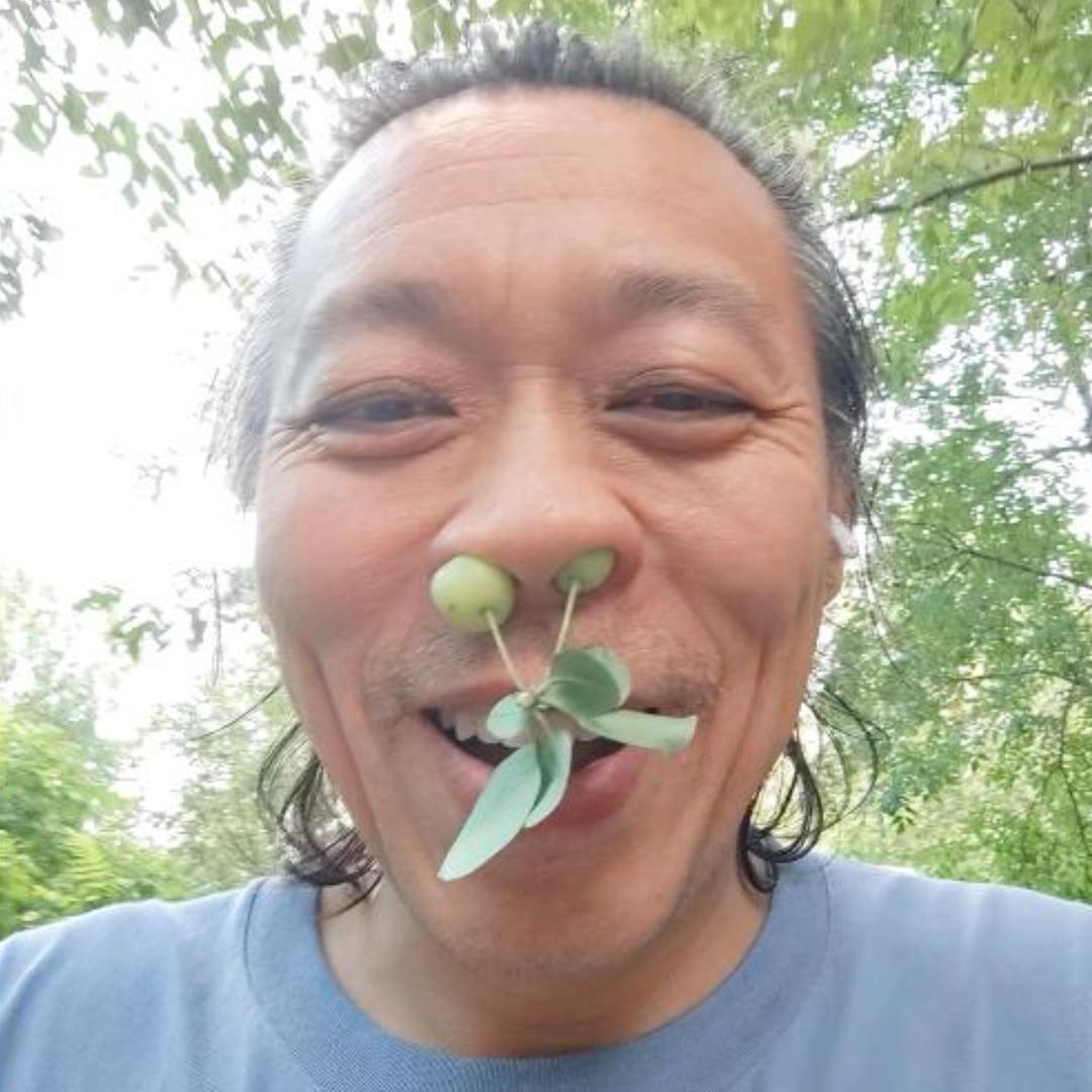 理想
