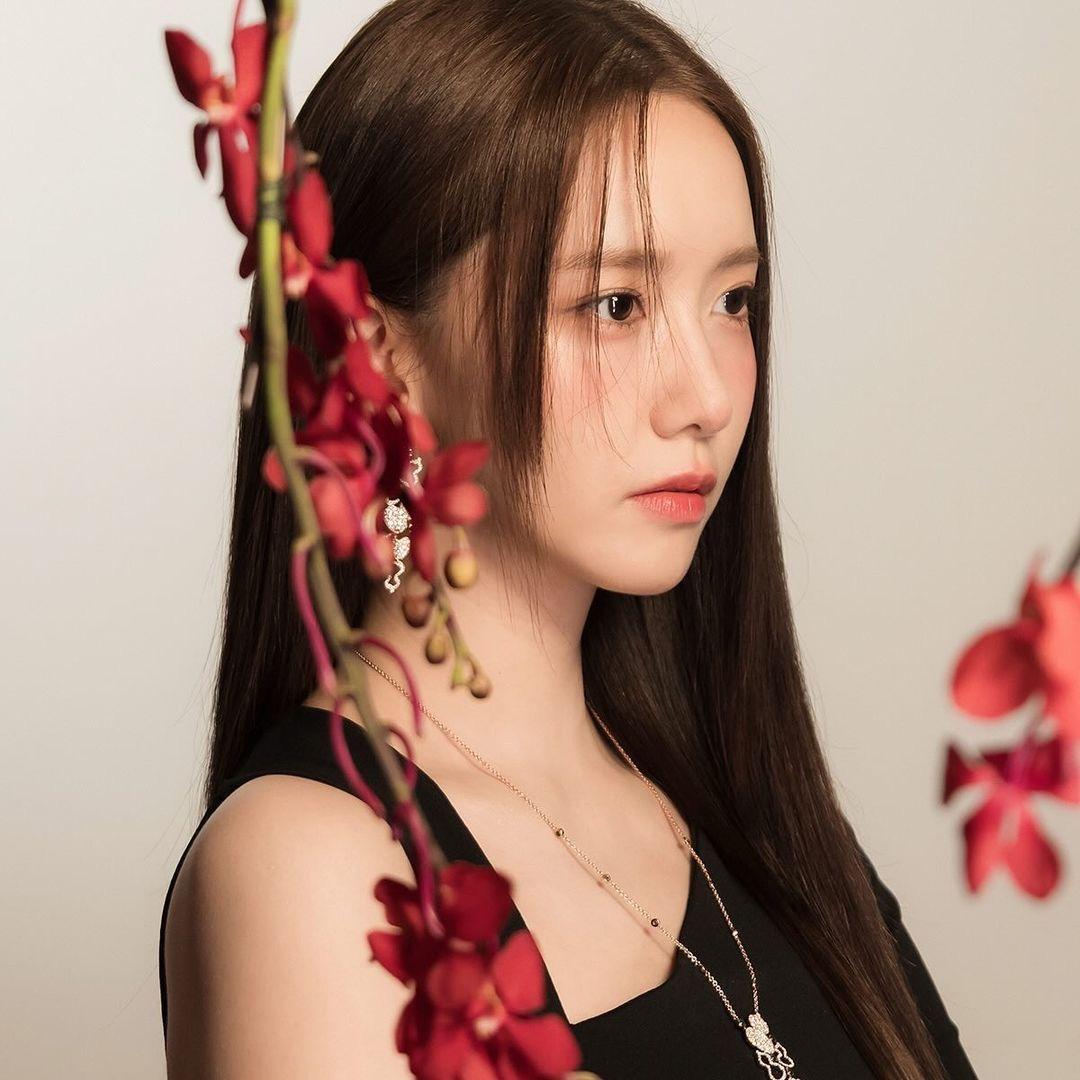 罗式芬