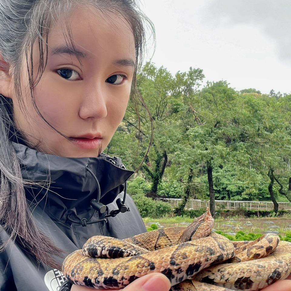 养蛇小娘子