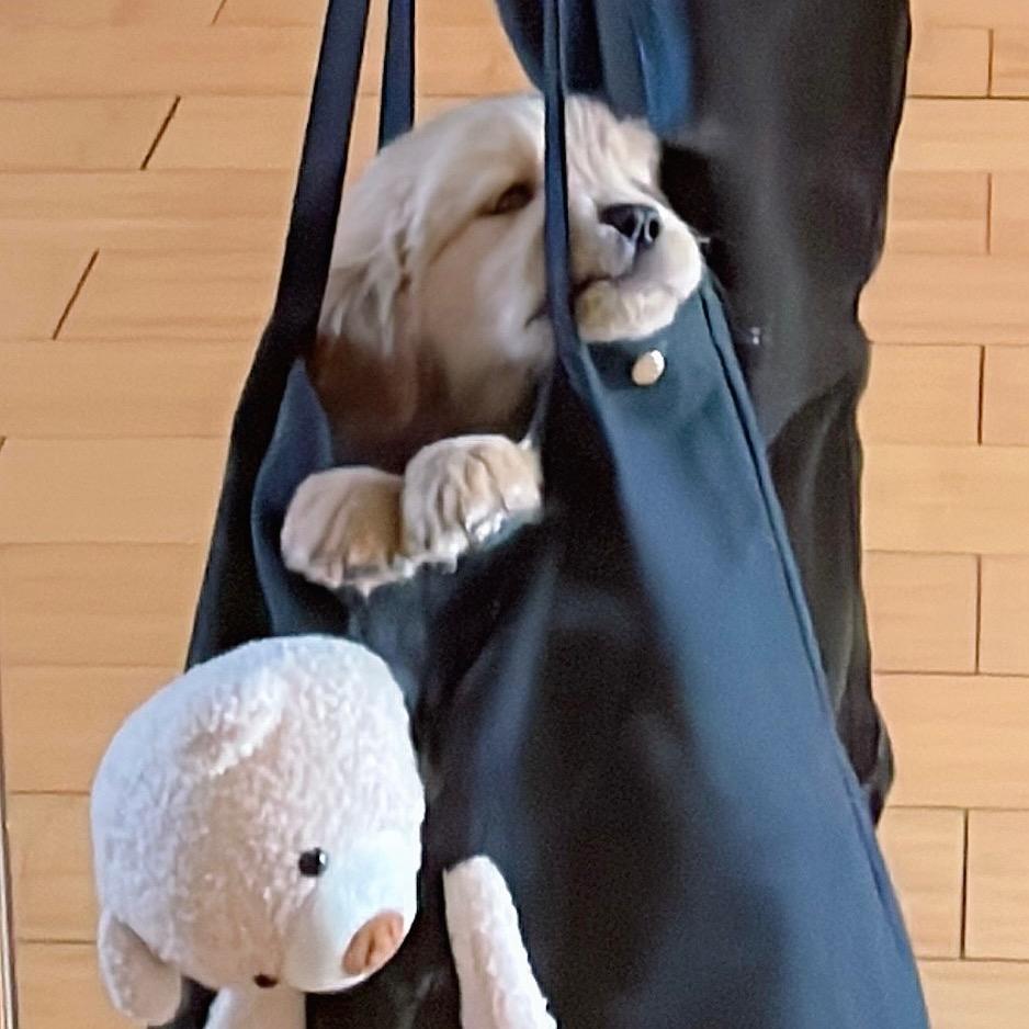 朝你屁股攮一捶