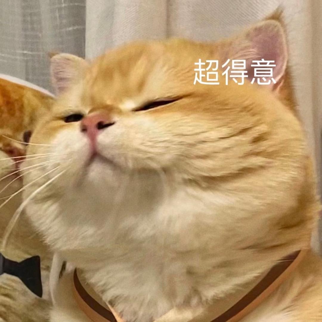 萌猫睡前故事