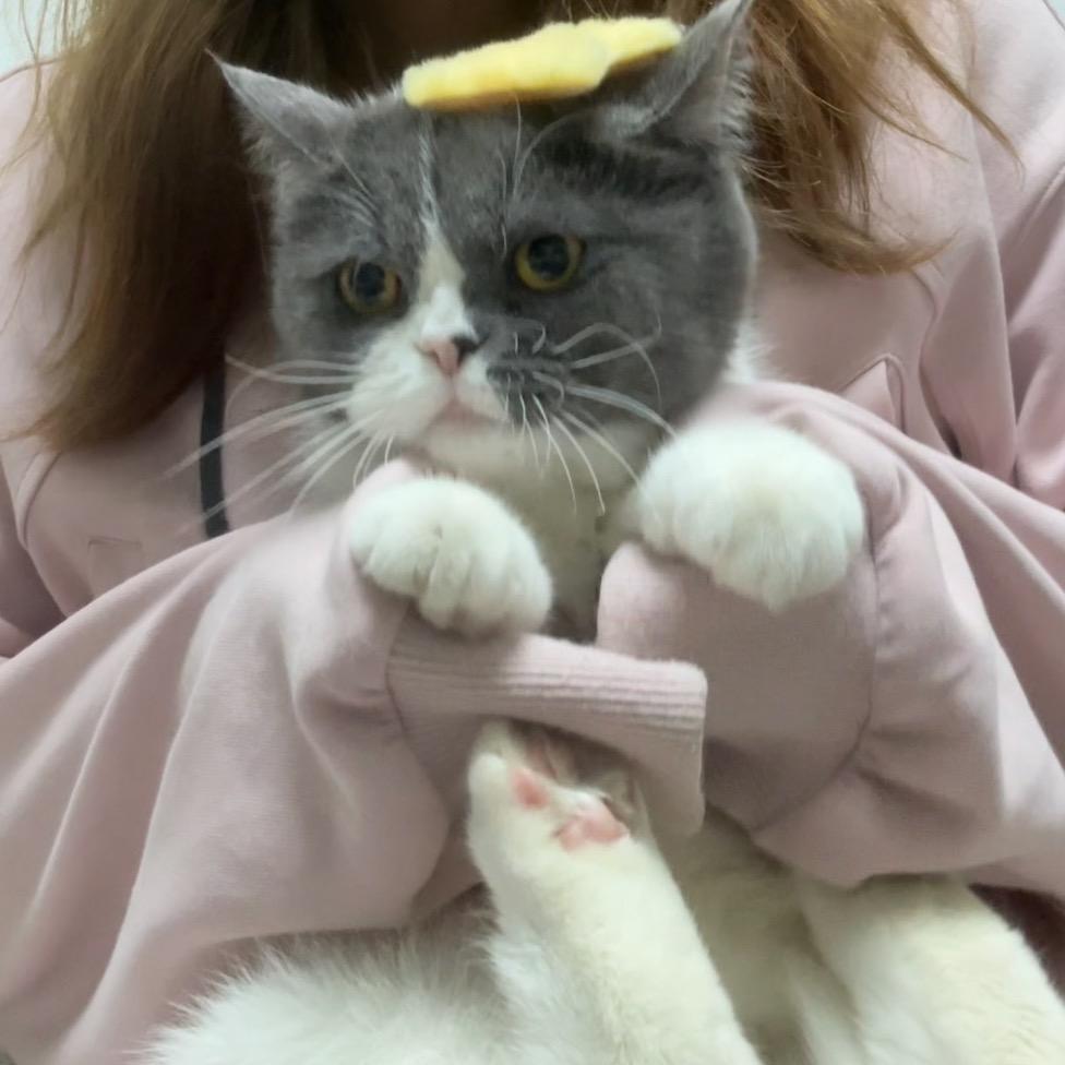 胡萝北🥕的日记本📓