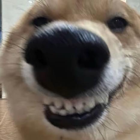 dhskskn