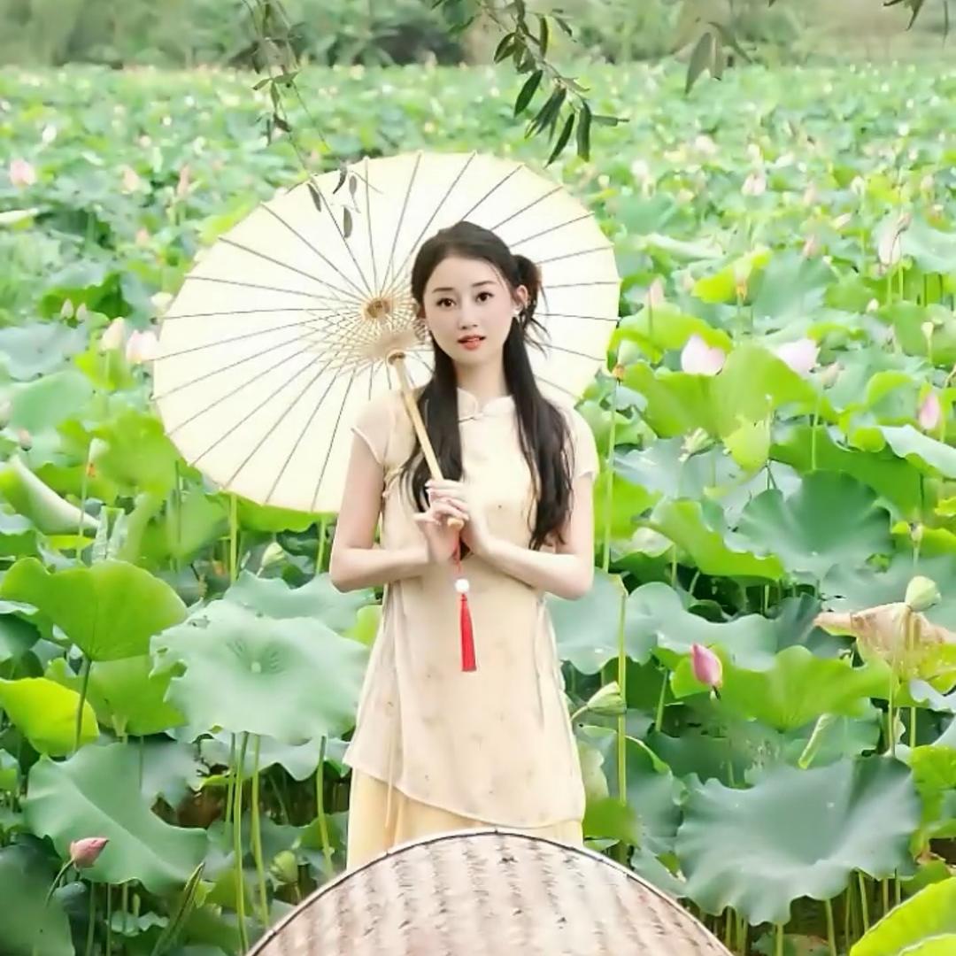 小燕子