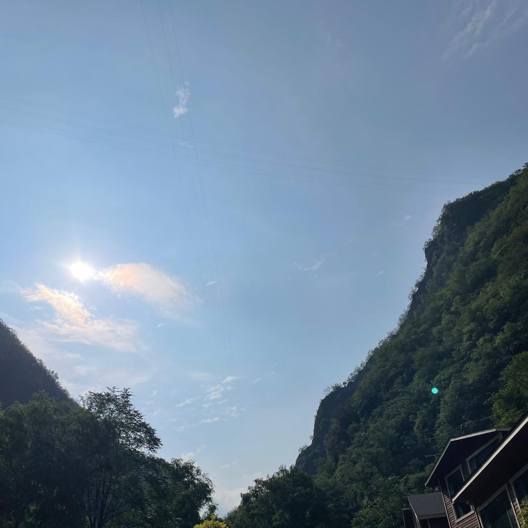 逆风飞翔