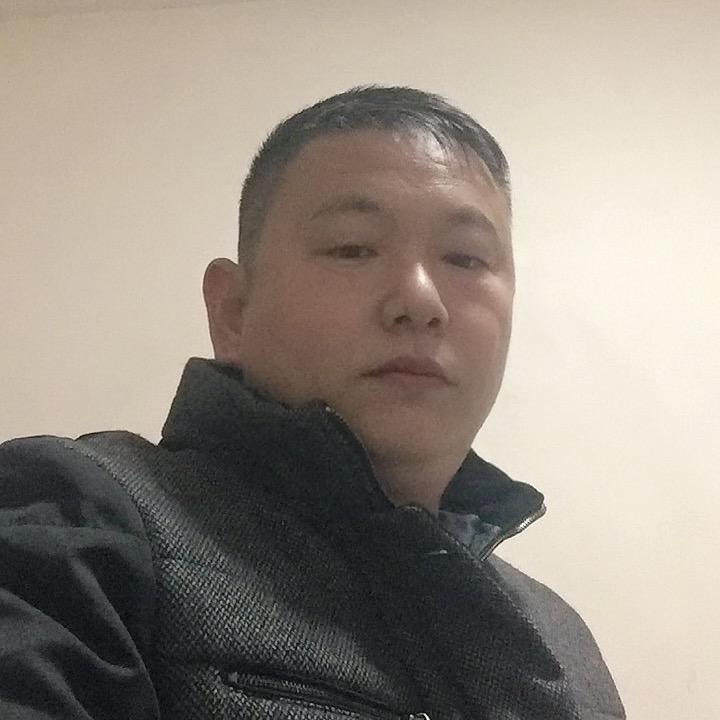 杨杨