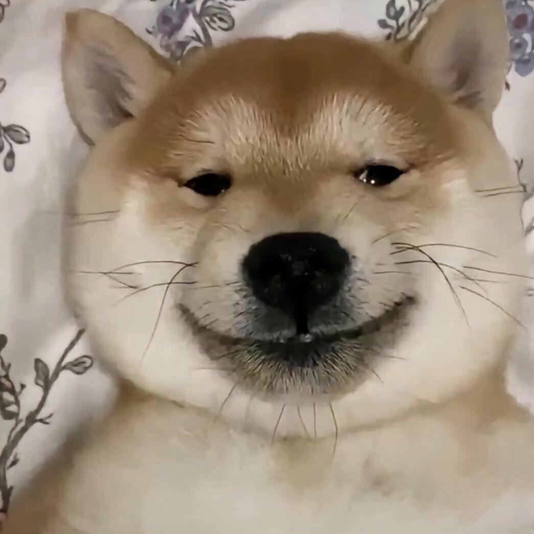 𝒊𝑪𝒓𝒚.