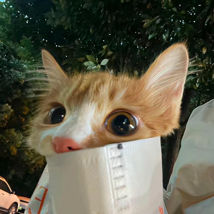 小蚊品质优选
