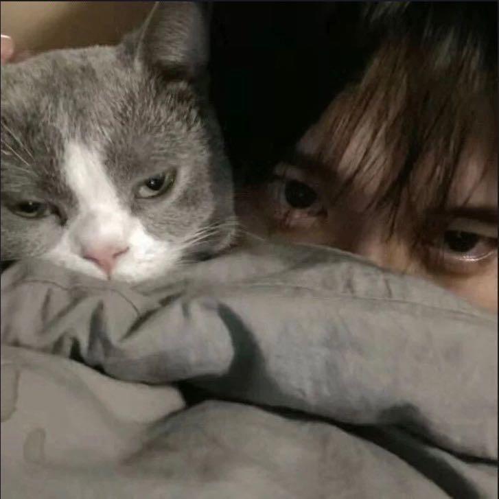 不吃小鱼干Y
