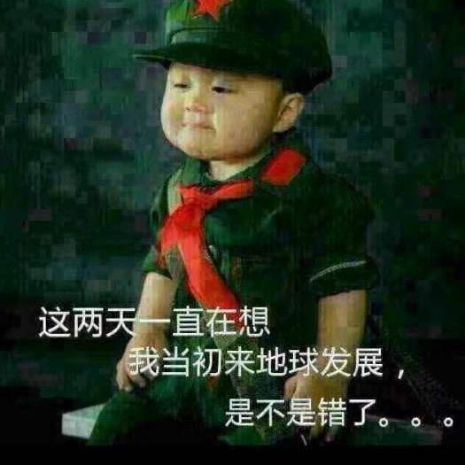 西门豆腐说美食