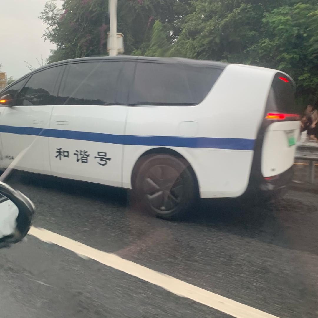 小猪宝贝